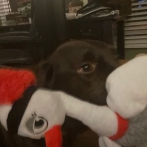 Meet your Posher, Cynthia